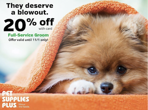 Promotions and discounts