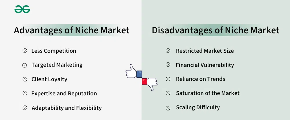 Advantages and disadvantages of niche-focused strategies for businesses