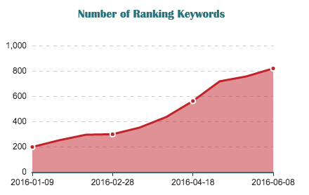 Consistent growth in rankings for target keywords