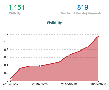 Steady growth in the website’s visibility on Google
